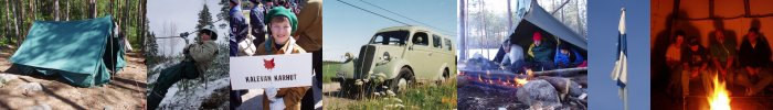 Ilves